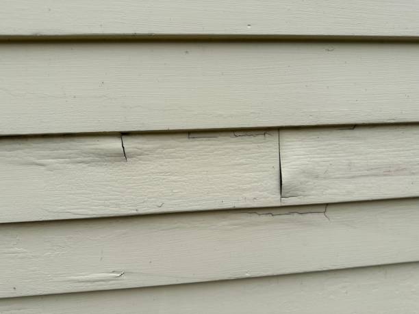 Best Storm Damage Siding Repair  in Fate, TX